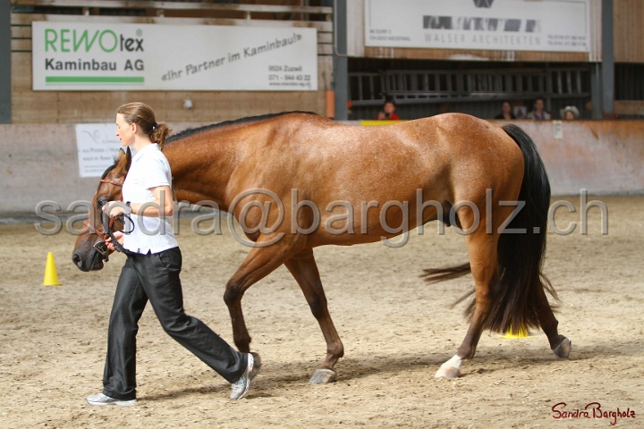 24-ApHC HIH_079.jpg
